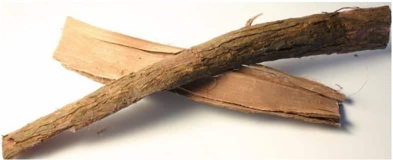 How is Mimosa Tenuiflora Root Bark a Natural DMT Source?