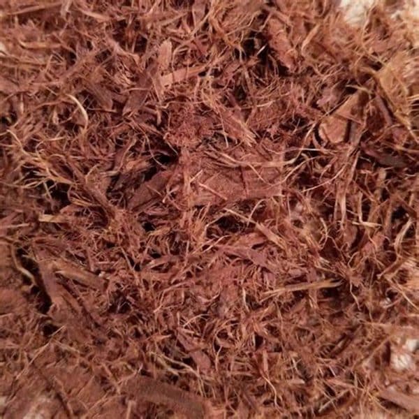 Mimosa Tenuiflora Root Bark Shredded