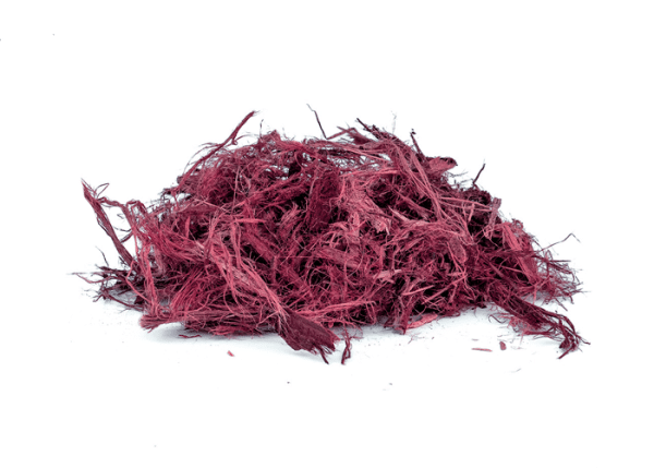 Mimosa Tenuiflora Root Bark Shredded for DMT